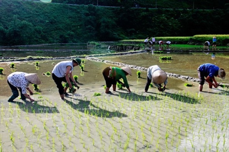 Menguaktabirkan Keindahan Lung Van, Hoa Binh - ảnh 8