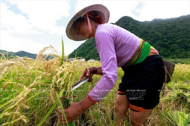 Menguaktabirkan Keindahan Lung Van, Hoa Binh - ảnh 9