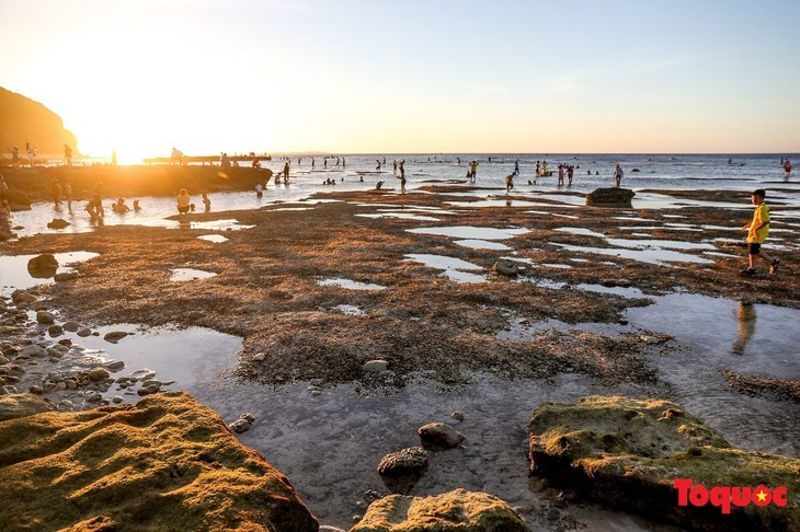 Hang Cau, Keindahan Primitif Di Tengah-Tengah  Pulau Ly Son - ảnh 12