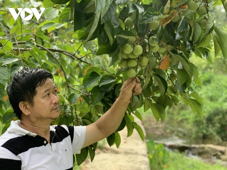 Seorang Petani Laki-Laki Etnis Minoritas Tay dengan Hasrat Memperkaya Diri Di Daerah Perbatasan - ảnh 1