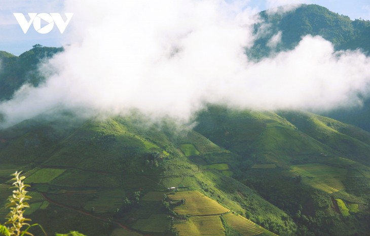 Sawah Terasering Berikan Cukup Sandang, Cukup Pangan - ảnh 1