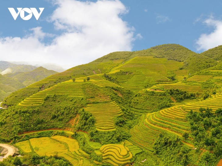 Sawah Terasering Berikan Cukup Sandang, Cukup Pangan - ảnh 2