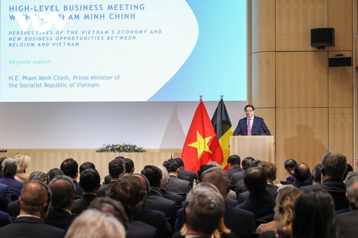 Kegiatan-Kegiatan PM Vietnam Pham Minh Chinh dalam Kunjungan Resmi  di Kerajaan Belgia  - ảnh 3