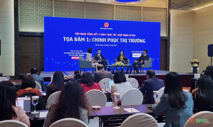 Badan Usaha Vietnam Kian Manfatatkan Dengan Baik Perjanjian CP TPP - ảnh 1