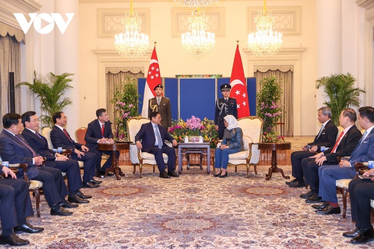 Membawa Hubungan Vietnam-Singapura Kian Berkembang Secara Kuat dan Lebih Praktis - ảnh 1