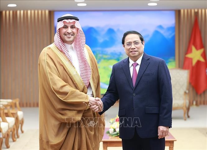 Ranah dan Potensi Kerja Sama antara Vietnam dan Arab Saudi Masih Besar          - ảnh 1