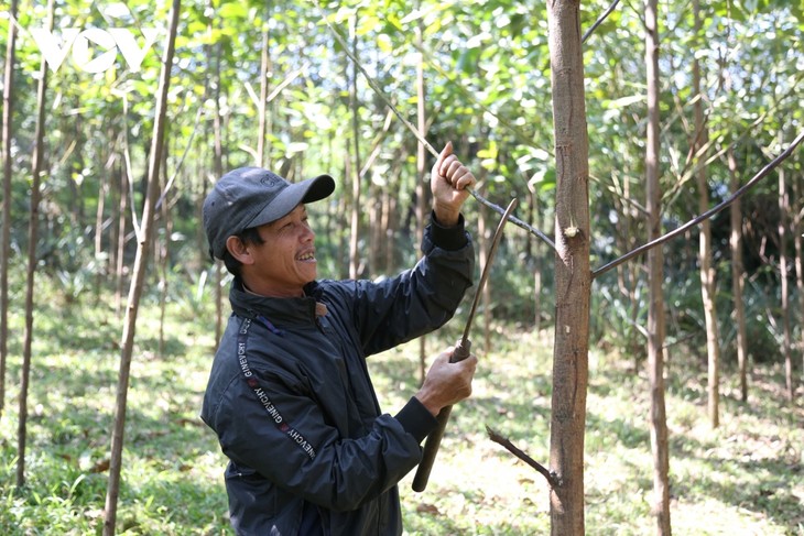 Bapak Ho Phinh, Orang Etnis Ma Lieng Pertama di Kecamatan Lam Hoa yang Mendaftarkan Nama untuk Mengentas dari Kemiskinan - ảnh 1