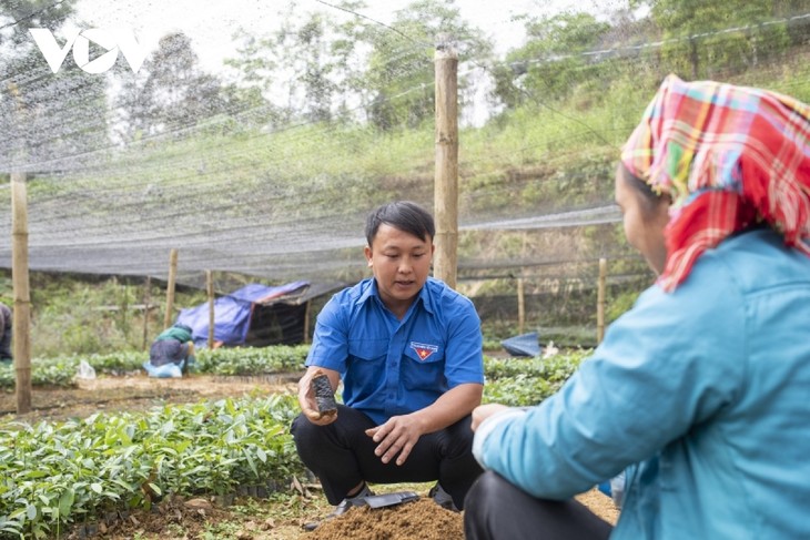 Lelaki Etnis Minoritas Mong dengan Hasrat Menghijaukan Kampung Halaman Daerah Pegunungan - ảnh 1