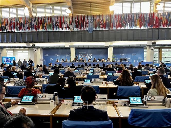 Vietnam Menghadiri Sidang ke-43 Konferensi  FAO Tingkat Menteri - ảnh 1