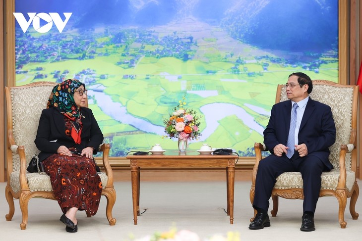 PM Vietnam, Pham Minh Chinh Menerima Dubes Brunei Darussalam - ảnh 1