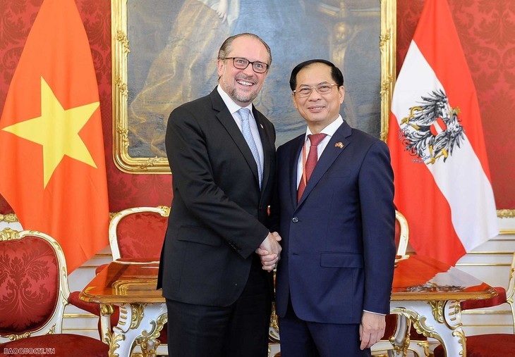 Menlu Vietnam, Bui Thanh Son Menemui Menlu Austria, Alexander Schallenberg - ảnh 1