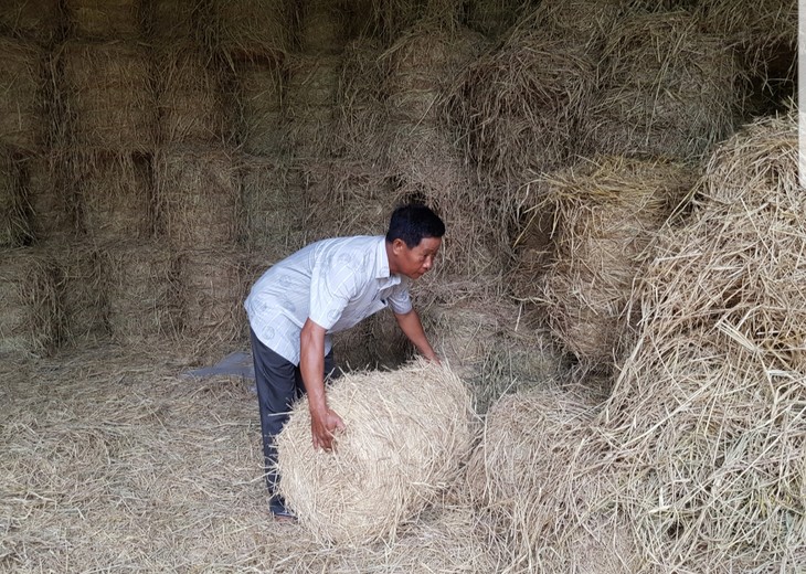 Bapak Lam Se – Petani yang Pandai Berproduksi dan Berbisnis di Provinsi Soc Trang - ảnh 1