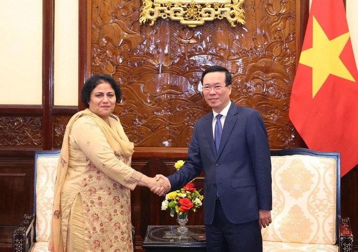 Presiden Vietnam, Vo Van Thuong Terima Dubes Pakistan - ảnh 1