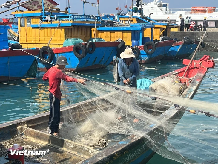 Vietnam Berupaya Keras Menghapuskan Kartu Kuning IUU - ảnh 1