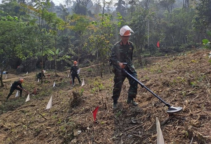 Bekerja Sama Internasional untuk Memperkuat Kemampuan bagi Pasukan Penanganan Polusi Bom dan Ranjau - ảnh 1