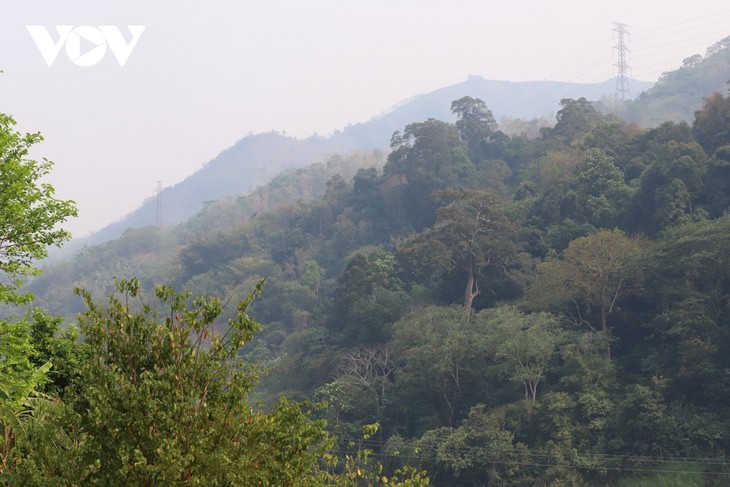 Mengkonservasikan dan Mengembangkan Nilai Sejarah “Hutan Jenderal Vo Nguyen Giap - ảnh 1