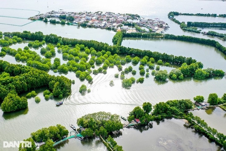 Zona Ekowisata Con Chim – “Oasis Hijau” di Provinsi Binh Dinh - ảnh 4