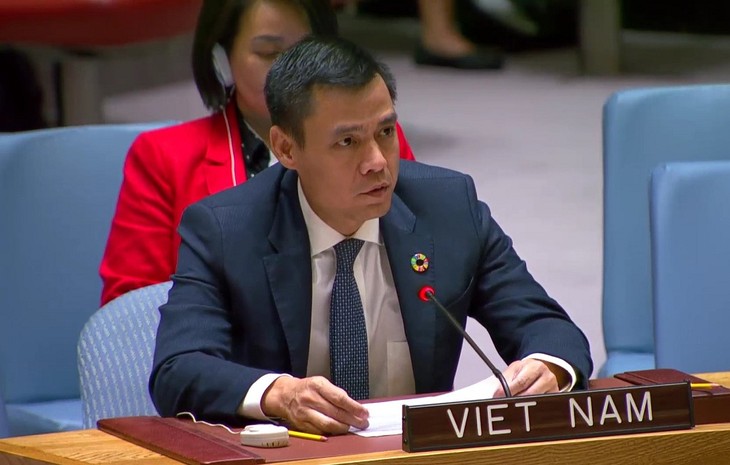 Vietnam Dengan Kuat Mendukung Multilateralisme - ảnh 1