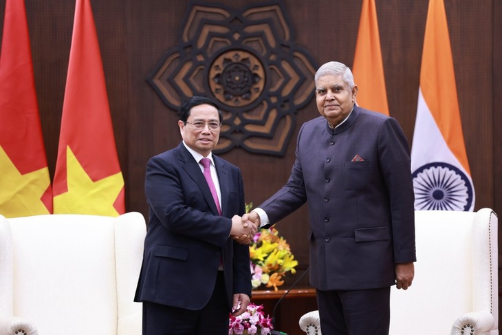 Vietnam Adalah Mitra Strategis Komprehensif yang Penting bagi India - ảnh 1