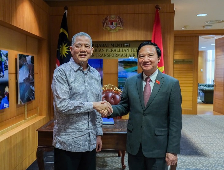 Wakil Ketua MN Vietnam, Nguyen Khac Dinh Temui Deputi PM Malaysia - ảnh 1