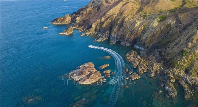 Program “Pariwisata, Perfilman dan Olahraga: Banggakan Identitas Vietnam” akan Berlangsung di Provinsi Binh Dinh  - ảnh 1