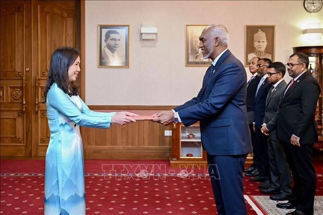 Presiden Maldives Minta Memperkuat Kerja Sama dengan Vietnam - ảnh 1