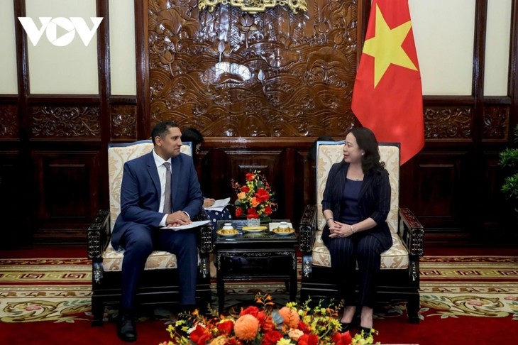 Wapres Vietnam, Vo Thi Anh Xuan Terima Dubes Swedia di Vietnam - ảnh 1