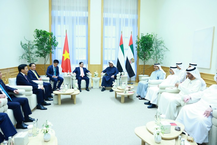 PM Pham Minh Chinh Melakukan Pembicaraan dengan Presiden Uni Emirat Arab, Meningkatkan Hubungan Bilateral ke Kemitraan Komprehensif - ảnh 2