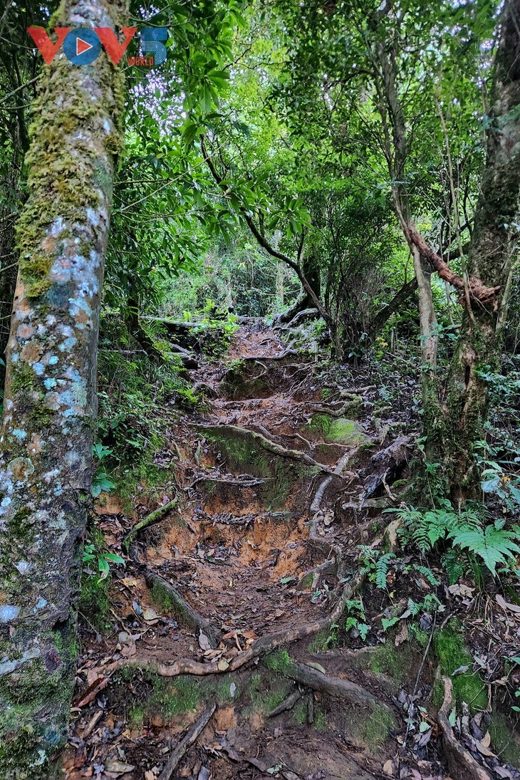 Perjalanan Memburu Awan di Puncak Ky Quan San - Bach Moc Luong Tu - ảnh 14