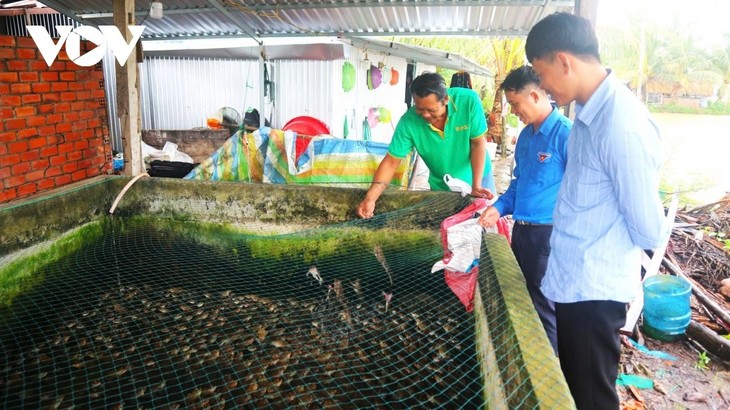 Pemuda Etnis Khmer Melakukan Usaha Rintisan, Membangun Pola Ekonomi yang Efektif - ảnh 2