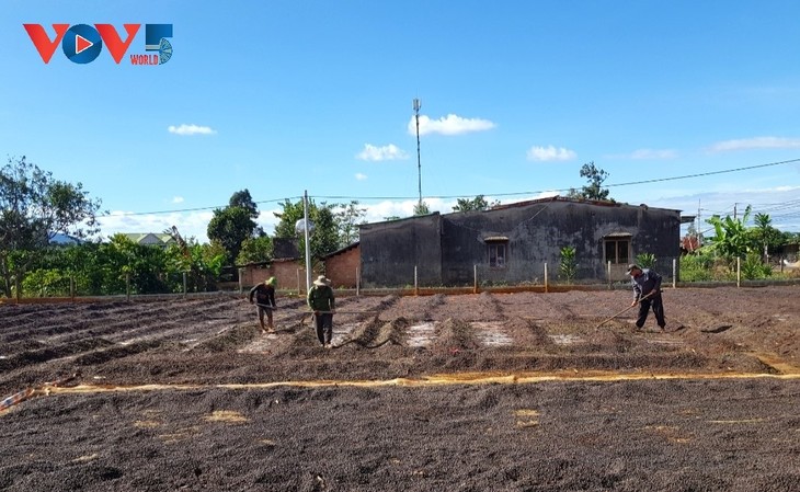 Siu Pop, Teladan yang Pandai Melakukan Usaha Ekonomi Pedesaan Tipikal di Kecamatan Ia Ka, Provinsi Gia Lai - ảnh 1