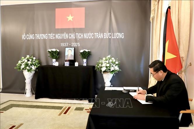 Kedubes Vietnam di Jerman Selenggarakan Upacara Berziarah Mantan Presiden Tran Duc Luong  - ảnh 1