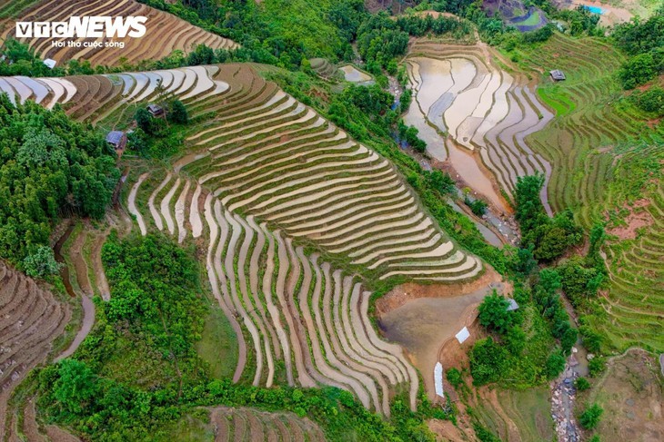 Keindahan Sawah Terasering pada Musim Air Tumpah di Provinsi Lao Cai - ảnh 2