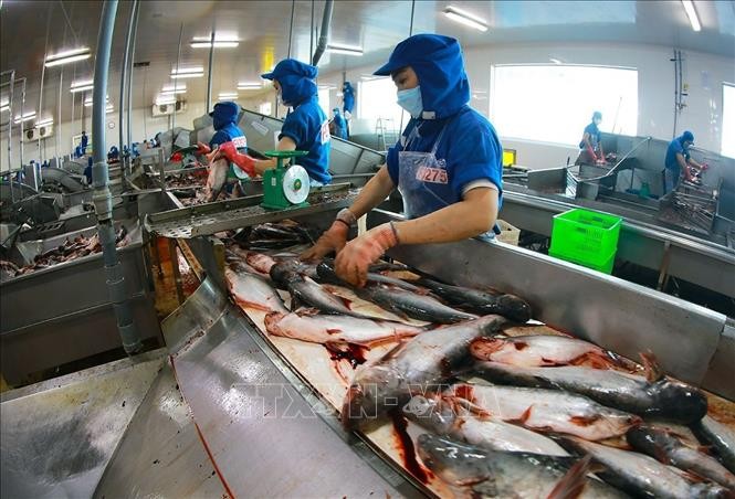 Mengaktifkan Motivasi-Motivasi Perkembangan agar supaya  Pertumbuhan Ekonomi Melampaui 8 Persen - ảnh 1