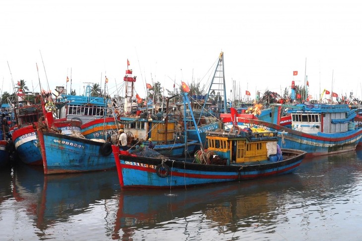 Tentara Bergandengan Tangan dalam Memberantas IUU -  Menjaga Kedaulatan dan Mengembangkan Perikanan Vietnam Secara Berkelanjutan - ảnh 1