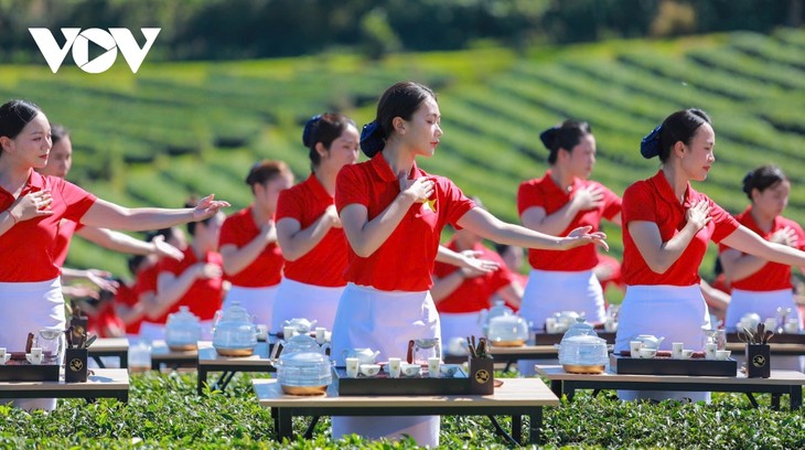 Festival Teh Internasional: Sosialisasikan Brand Teh Vietnam Dorong Kerja Sama Komprehensif - ảnh 2