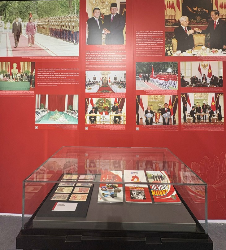 Vietnam-Indonesia: 70 Tahun Kerja Sama dan Perkembangan - ảnh 12