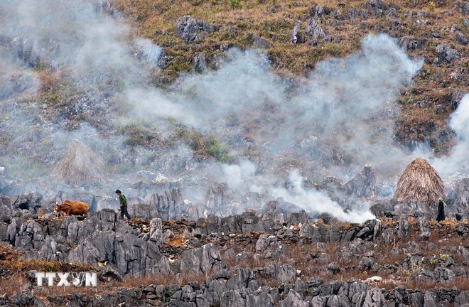 Perkenalkan Daerah Dataran Tinggi Karst Dong Van - ảnh 2