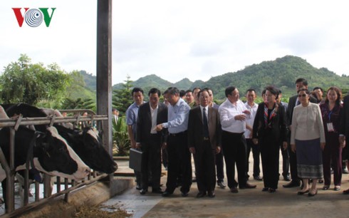 Nguyen Thi Kim Ngan et Pany Yothotou rendent hommage aux morts pour la patrie à Moc Chau - ảnh 2