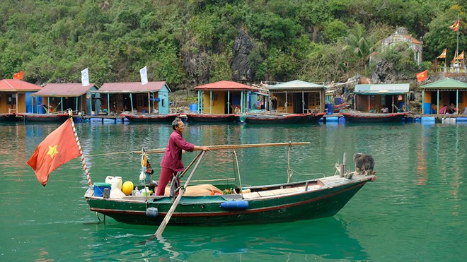 Les  nouvelles sirènes de la baie d’Halong - ảnh 2