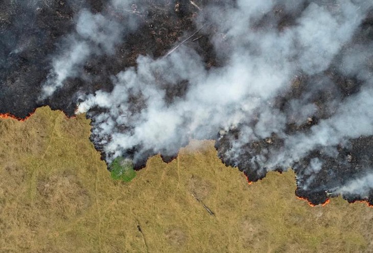 Quand le poumon de la planète continue de brûler - ảnh 1