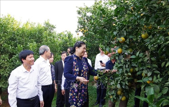 Déplacement de Tong Thi Phong à Hoa Binh - ảnh 1