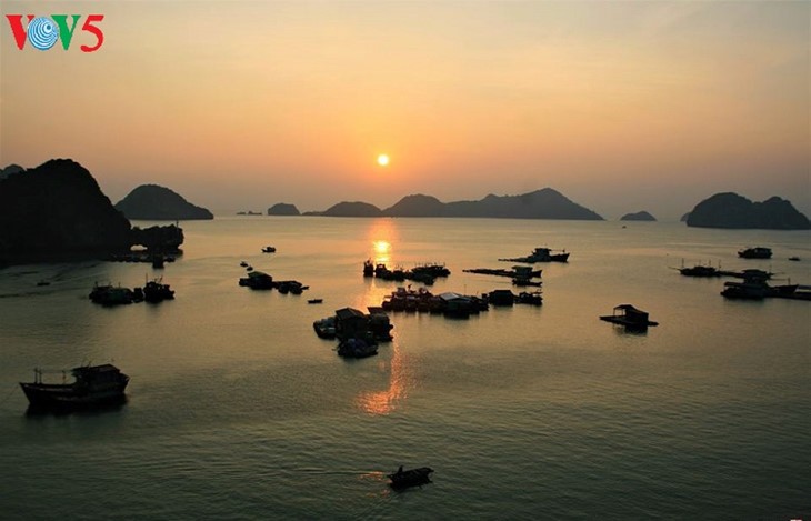 Cat Hai-l’île de la perle accueille plus de 2 millions de touristes - ảnh 11