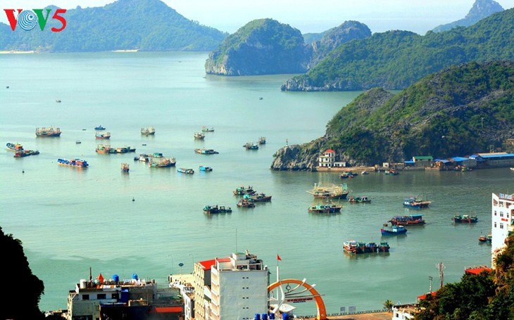 Cat Hai-l’île de la perle accueille plus de 2 millions de touristes - ảnh 1