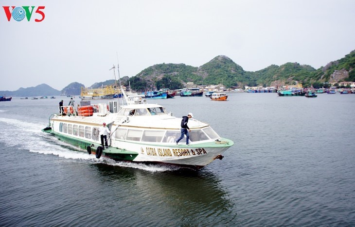 Cat Hai-l’île de la perle accueille plus de 2 millions de touristes - ảnh 7