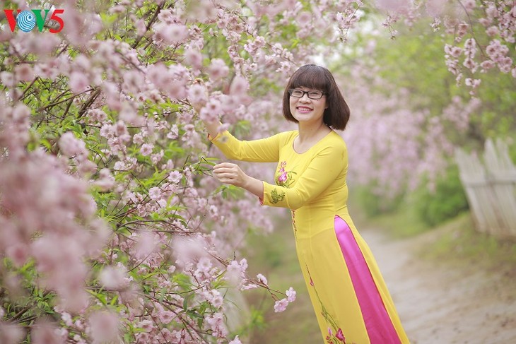 Les Vietnamiennes s’habillent en ao dài pour la fête du Têt - ảnh 4