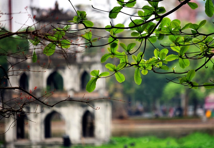 Le Bich’s photos are reminiscent of Hanoi  - ảnh 3