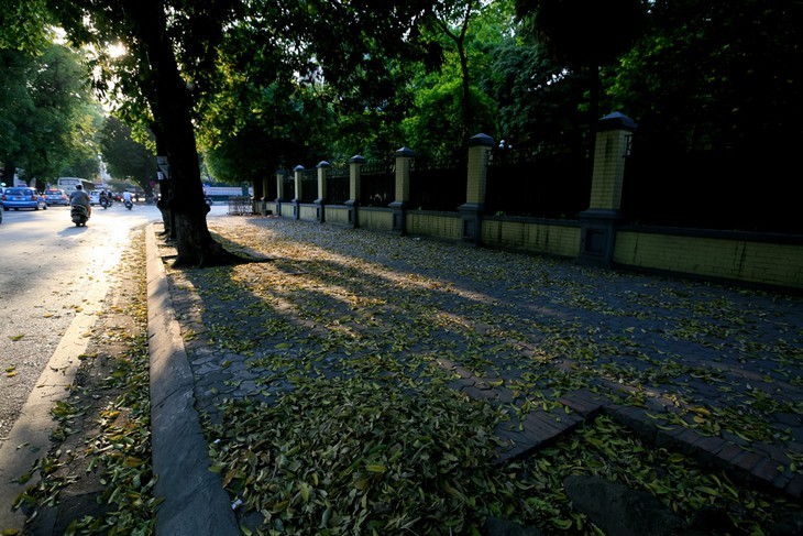 Le Bich’s photos are reminiscent of Hanoi  - ảnh 4