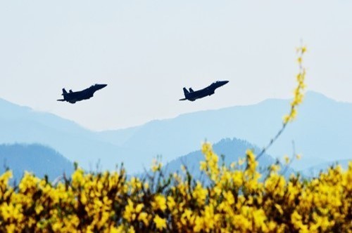 South Korea, US hold joint air exercises - ảnh 1