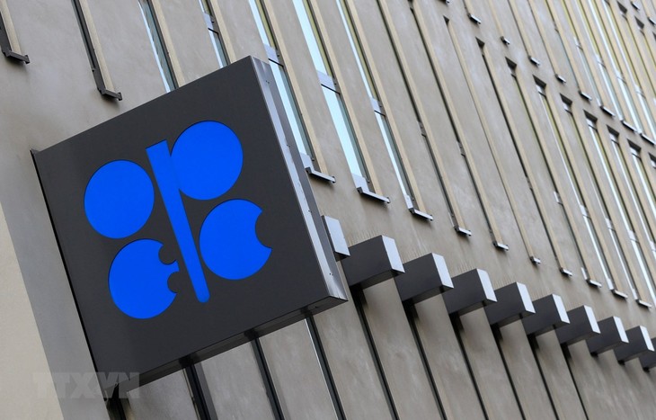 OPEC sees oil demand growing over next two decades - ảnh 1